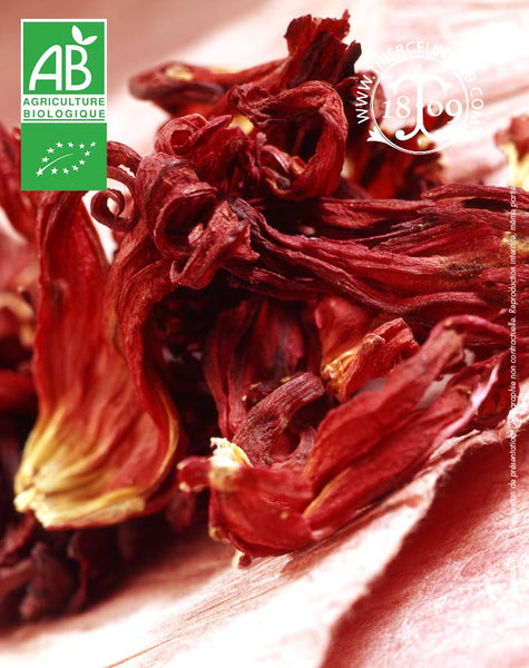 Pourquoi manger de l'hibiscus : vertus et bienfaits