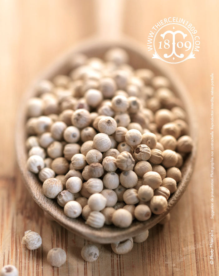 Poivre blanc de Madagascar, grains entiers Thiercelin