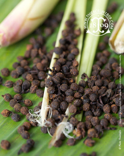 Poivre Tchuli BIO - recette facile - riche en huile essentielle
