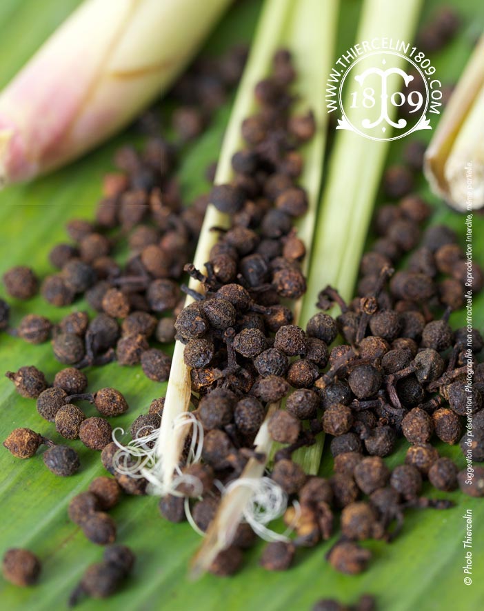 Poivre Tchuli BIO - recette facile - riche en huile essentielle
