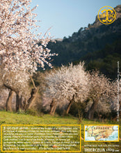Amandes Blanchies, entières décortiquées
