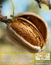 Amandes Blanchies, Effilées