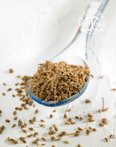 Anis sauvage - riche en huile essentielle - recette facile - remede