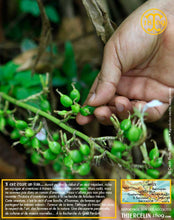 Cardamome verte, capsules entières