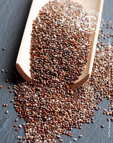 Graine de Chia