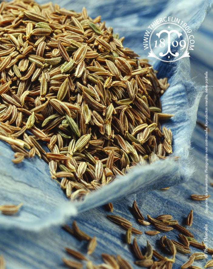 cumin (Cuminum cyminum) ou Kreuzkümmel, Komijn, Spisskarve, Kmin, Spiskummin, Kloeftsvoeb, Comino, Maustekumina, Borsos kömény, Comino,  κύμινο, كمون (kammun, keymoun), כמון (kamon), जीरा, тимон, 小茴香, 커민, クミン