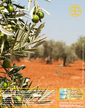 Huile d'Olive, vierge extra
