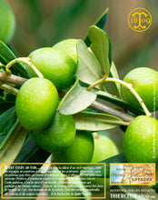 Huile d'Olive, vierge extra