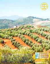 Huile d'Olive, vierge extra