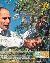 Huile d'Olive, vierge extra