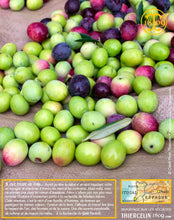 Huile d'Olive, vierge extra