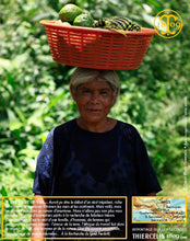Piment de la Jamaïque, baies entières