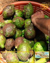 Piment de la Jamaïque, baies entières