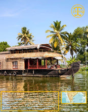 Poivre vert de Kerala, baies séchées