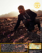 Tout le monde participe à la cueillette… Thiercelin