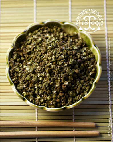 Yoshino Sansho vert, baies séchées