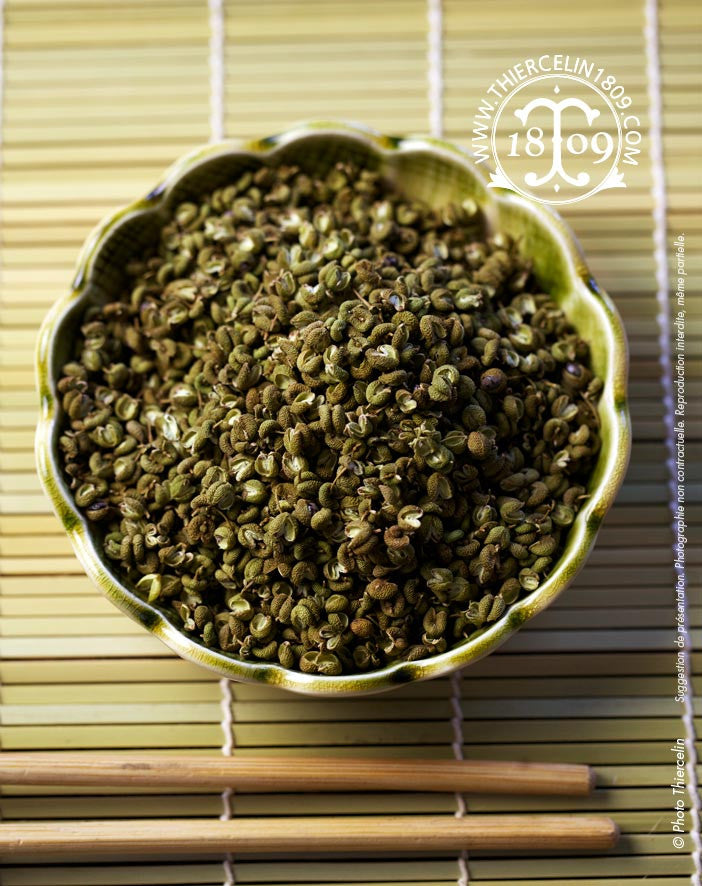 Yoshino Sansho vert, baies séchées
