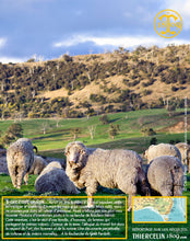 L'Australie est comme la France un pays très agricole.