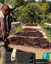 Vanille Bourbon, gousses noires non fendues