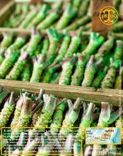 Sésame au wasabi, graines toastées, enrobées et aromatisées