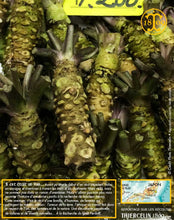 Sésame au wasabi, graines toastées, enrobées et aromatisées